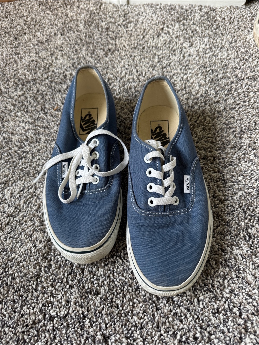 Vans Low-Top Canvas Sneakers in Navy Blue